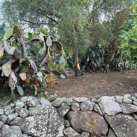 Casa de Férias Piccolo Borgo Di Pescatori *