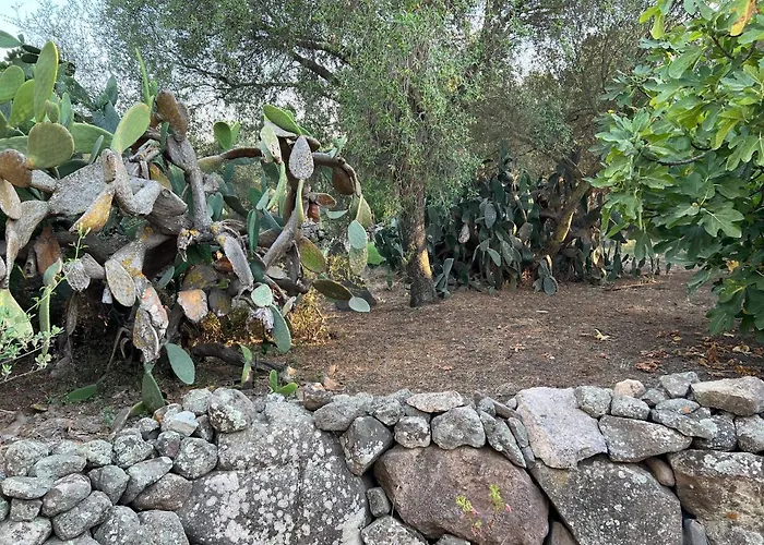 Holiday home Piccolo Borgo Di Pescatori *