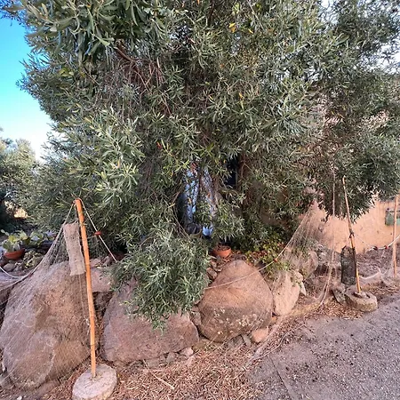Piccolo Borgo Di Pescatori Holiday home *